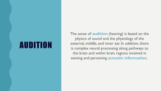 Share THE SENSORY SYSTEMS (Auditory sense).pptx