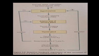 THYROID GLAND ANATOMY PHYSIOLOGY AND DISORDER | PPTX