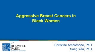 Christine Ambrosone, PhD
Song Yao, PhD
Aggressive Breast Cancers in
Black Women
 