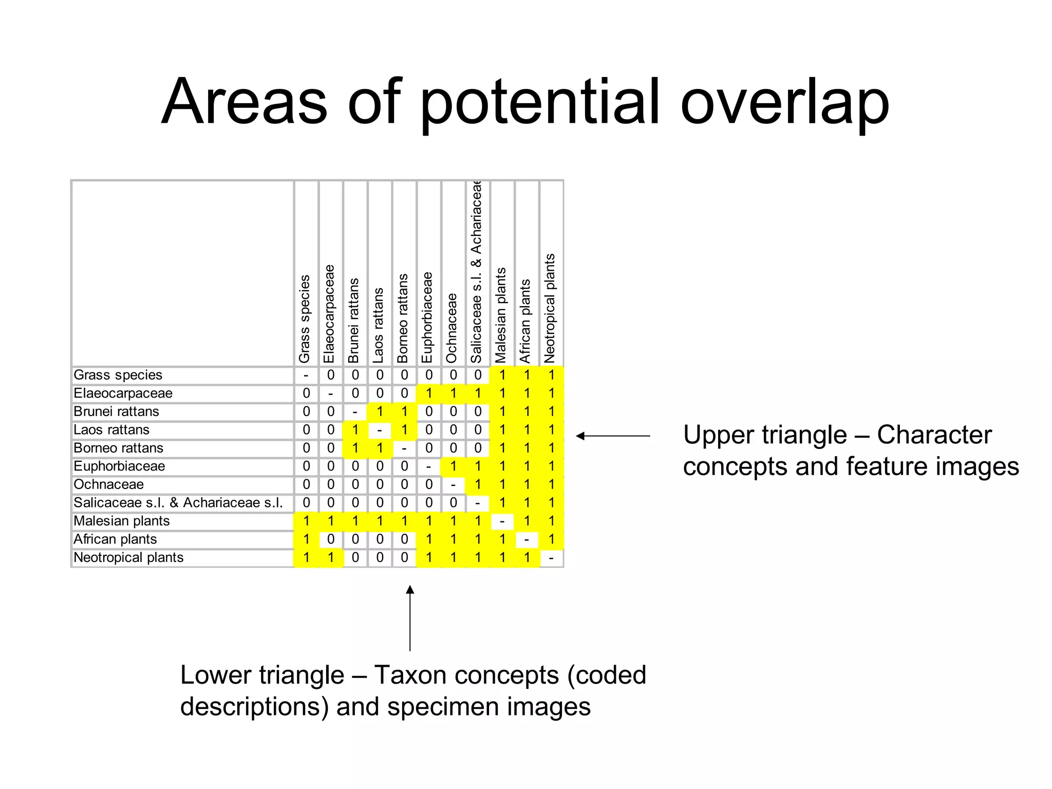Sharing information between projects | PPT
