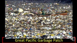 Great Pacific Garbage Patch
 