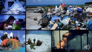 Photo Credit: plasticparadisemovie.com
 