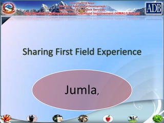 Sharing First Field Experience

Jumla,

 