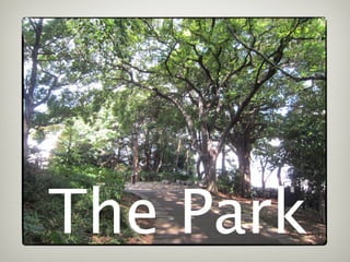 The Park
 