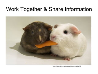 Work Together & Share Information http://www.flickr.com/photos/ryanr/142455033/ 