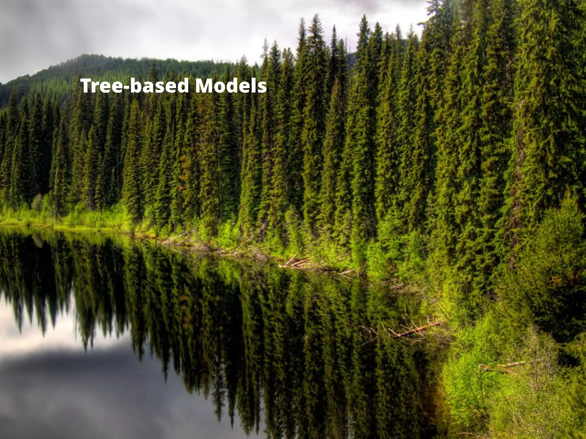 Tree-based Models
 