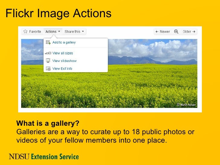 flickr similar sites flickr similar sites
