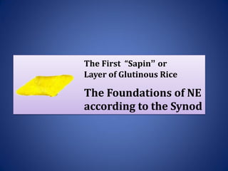 The First “Sapin” or
Layer of Glutinous Rice
The Foundations of NE
according to the Synod
 