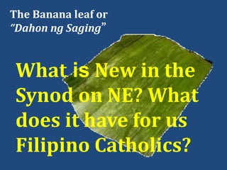 The Banana leaf or
“Dahon ng Saging”
What is New in the
Synod on NE? What
does it have for us
Filipino Catholics?
 