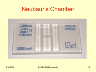 4/16/2014 Prof.Dr.R.R.Deshpande 12
Neubaur’s Chamber
 