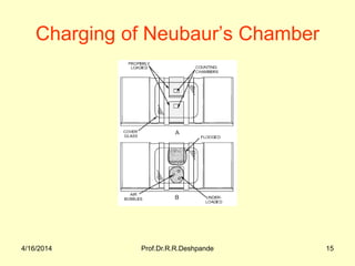 4/16/2014 Prof.Dr.R.R.Deshpande 15
Charging of Neubaur’s Chamber
 