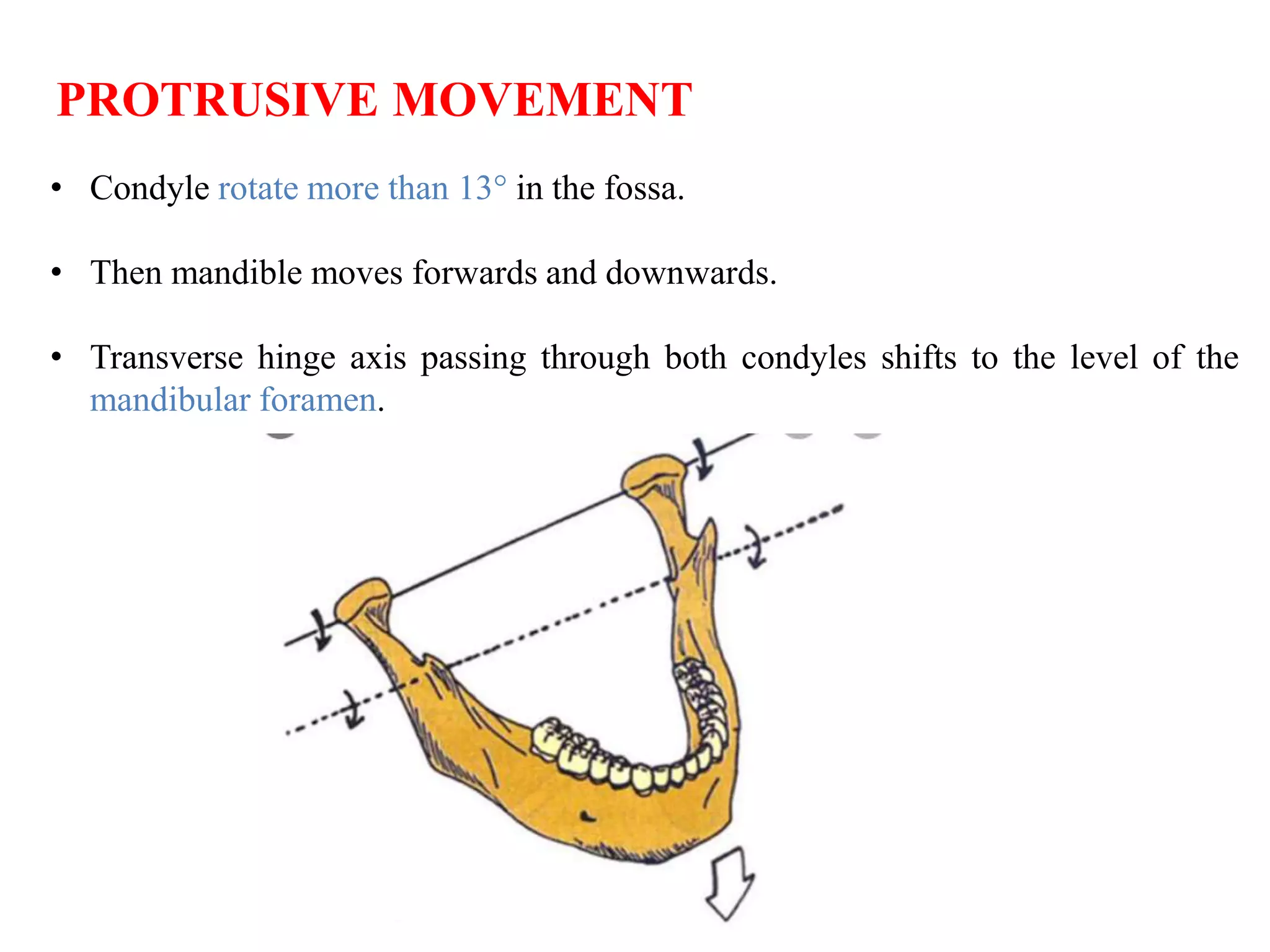 MANDIBULAR MOVEMENTS | PPTX