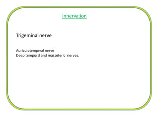 Trigeminal nerve
Auriculotemporal nerve
Deep temporal and masseteric nerves.
Innervation
 