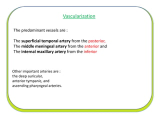 Vascularization
The predominant vessels are :
The superficial temporal artery from the posterior,
The middle meningeal artery from the anterior and
The internal maxillary artery from the inferior
Other important arteries are :
the deep auricular,
anterior tympanic, and
ascending pharyngeal arteries.
 