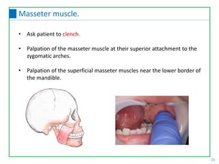 • Ask patient to clench.
• Palpation of the masseter muscle at their superior attachment to the
zygomatic arches.
• Palpation of the superficial masseter muscles near the lower border of
the mandible.
25
Masseter muscle.
 