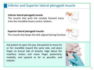 28
Inferior and Superior lateral pterygoid muscle
Inferior lateral pterygoid muscle
The muscle that pulls the condyle forward every
time the mandible leaves centric relation.
Superior lateral pterygoid muscle.
The muscle that keeps the disk aligned during function.
Ask patient to open the jaw. Ask patient to move his
or her mandible toward the same side, and place
finger on buccal side of alveolar ridge above the
maxillary molars and move finger posteriorly,
medially, and upward as far as possible, and
palpate.
 