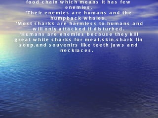 Enemies *Great white sharks are at the top of the food chain which means it has few enemies. *Their enemies are humans and the humpback whales.  *Most sharks are harmless to humans and will only attacked if disturbed. *Humans are enemies because they kill great white sharks for meat,skin,shark fin soup,and souvenirs like teeth jaws and necklaces.    
