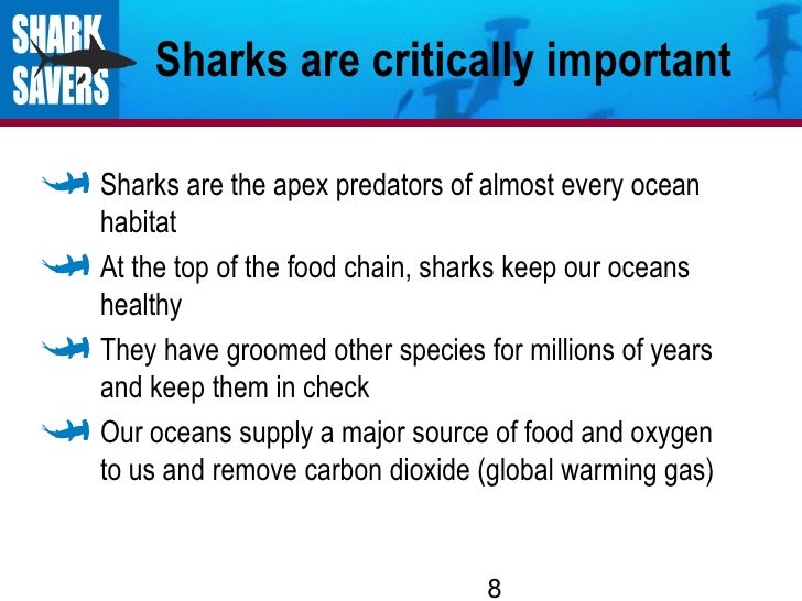 sharks