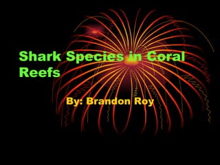Shark Species in Coral Reefs By: Brandon Roy 