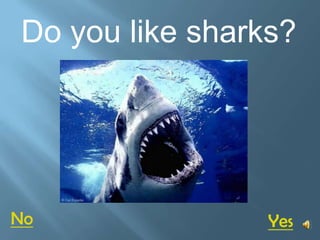 Do you like sharks?




No               Yes
 