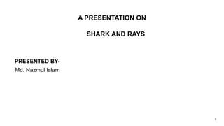 A PRESENTATION ON
SHARK AND RAYS
PRESENTED BY-
Md. Nazmul Islam
1
 
