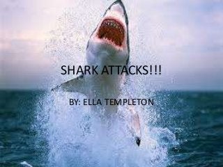 SHARK ATTACKS!!!

 BY: ELLA TEMPLETON
 