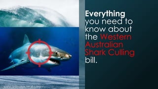 Everything
you need to
know about
the Western
Australian
Shark Culling
bill.

www.animalsaustralia.org -

 