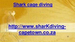 Shark cage diving

http://www.sharKdivingcapetown.co.za

 