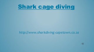 Shark cage diving

http://www.sharkdiving-capetown.co.za

 
