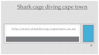 Shark cage diving cape town

http://www.sharkDiving-capetown.co.za

 