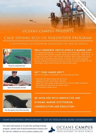 Shark Cage Diving Volunteer Program