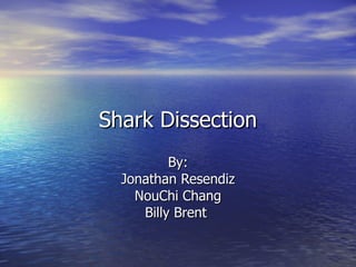 Shark Dissection By: Jonathan Resendiz NouChi Chang Billy Brent  