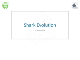 Shark Evolution
Mathieu Noe
 