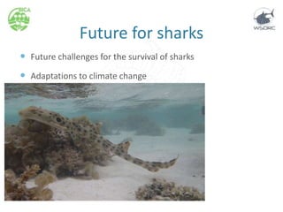 Future for sharks
 Future challenges for the survival of sharks
 Adaptations to climate change
 