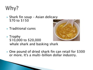    Shark fin soup – Asian delicacy
    $70 to $150

   Traditional cures

   Trophy
    $10,000 to $20,000
    whale shark and basking shark

   One pound of dried shark fin can retail for $300
    or more. It's a multi-billion dollar industry.
 