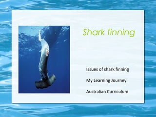 Shark finning 
Issues of shark finning 
My Learning Journey 
Australian Curriculum 
 