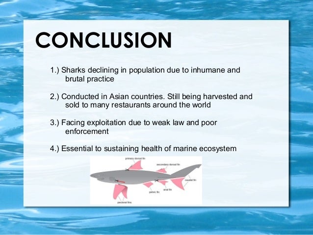 January 2019 english regents multiple-choice answers picture