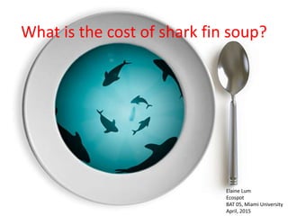 What is the cost of shark fin soup?
Elaine Lum
Ecospot
BAT 05, Miami University
April, 2015
 