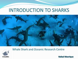 INTRODUCTION TO SHARKS
Whale Shark and Oceanic Research Centre
 