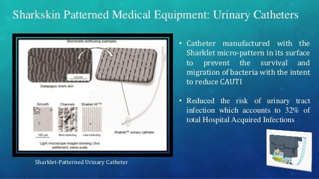 Sharklet, Bacteria, and Hospitals diagram of uti 