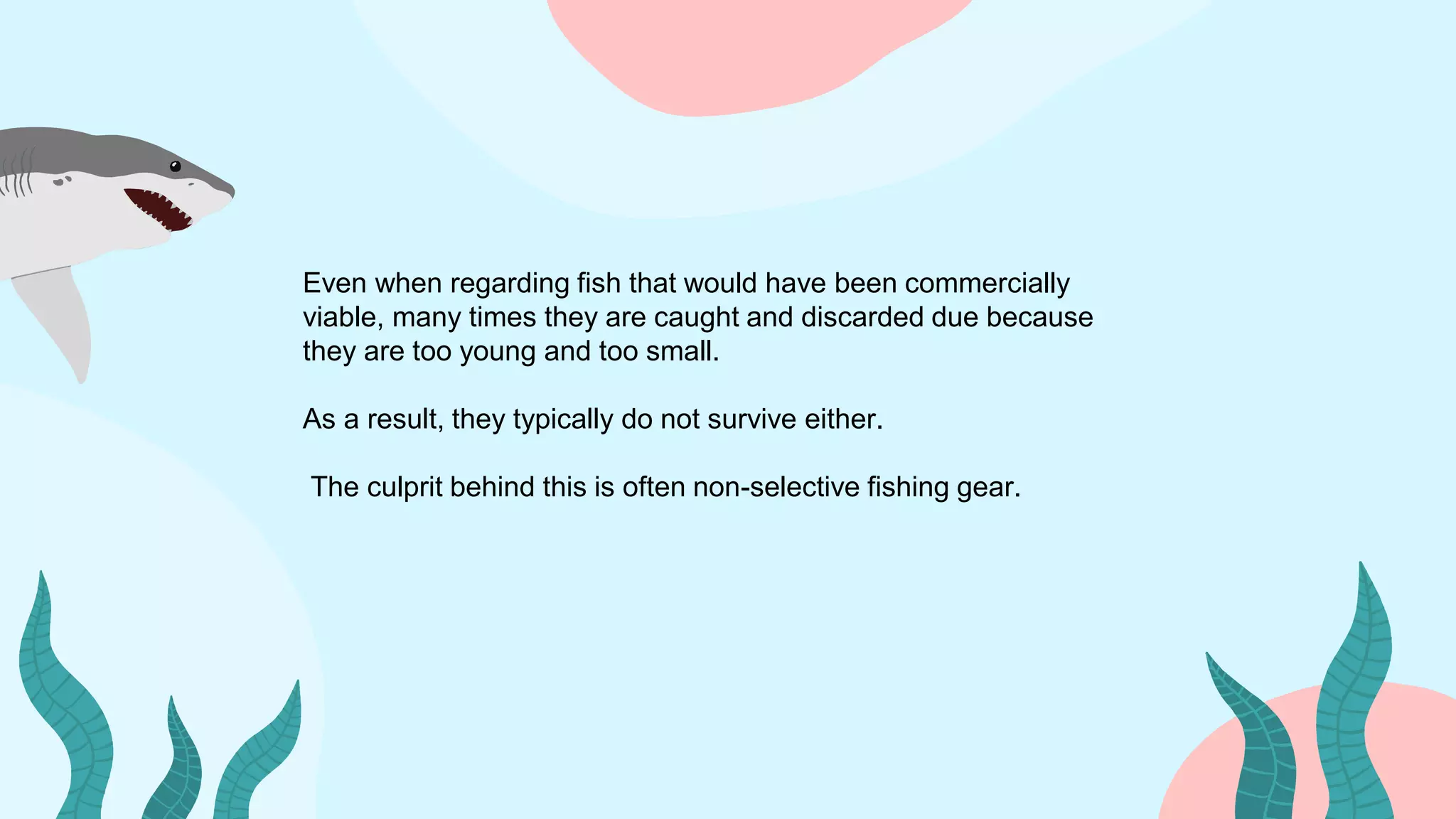 Even when regarding fish that would have been commercially
viable, many times they are caught and discarded due because
they are too young and too small.
As a result, they typically do not survive either.
The culprit behind this is often non-selective fishing gear.
 