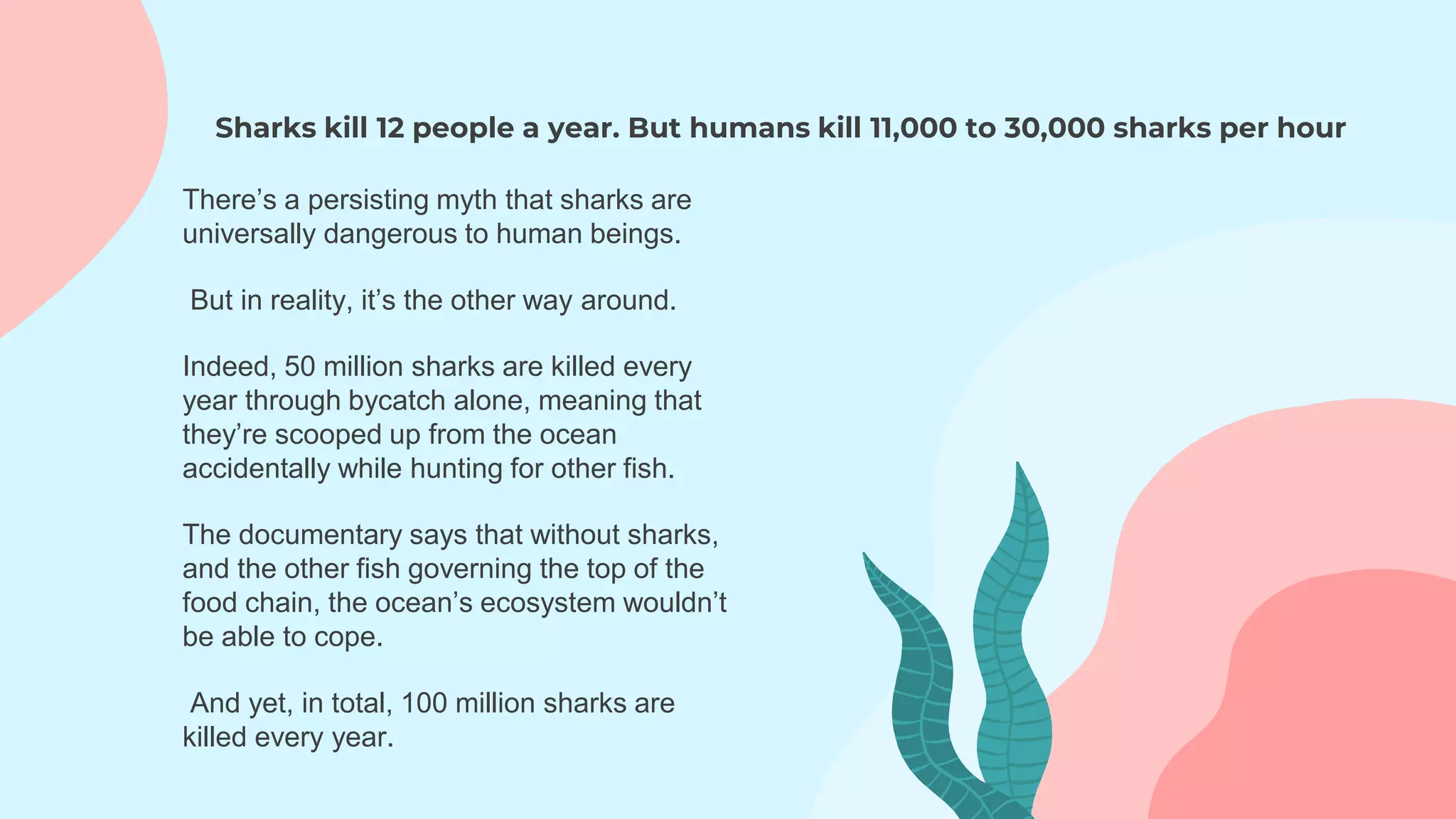 Sharks kill 12 people a year. But humans kill 11,000 to 30,000 sharks per hour
There’s a persisting myth that sharks are
universally dangerous to human beings.
But in reality, it’s the other way around.
Indeed, 50 million sharks are killed every
year through bycatch alone, meaning that
they’re scooped up from the ocean
accidentally while hunting for other fish.
The documentary says that without sharks,
and the other fish governing the top of the
food chain, the ocean’s ecosystem wouldn’t
be able to cope.
And yet, in total, 100 million sharks are
killed every year.
 