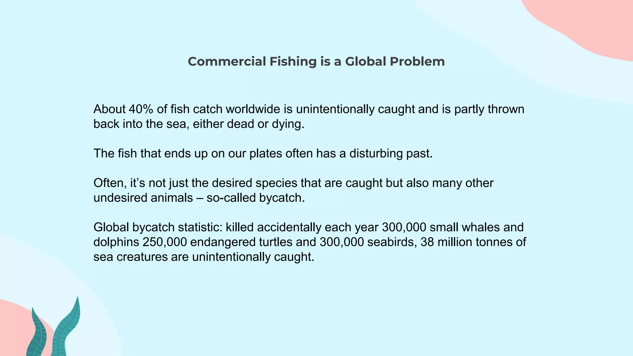 Commercial Fishing is a Global Problem
About 40% of fish catch worldwide is unintentionally caught and is partly thrown
back into the sea, either dead or dying.
The fish that ends up on our plates often has a disturbing past.
Often, it’s not just the desired species that are caught but also many other
undesired animals – so-called bycatch.
Global bycatch statistic: killed accidentally each year 300,000 small whales and
dolphins 250,000 endangered turtles and 300,000 seabirds, 38 million tonnes of
sea creatures are unintentionally caught.
 