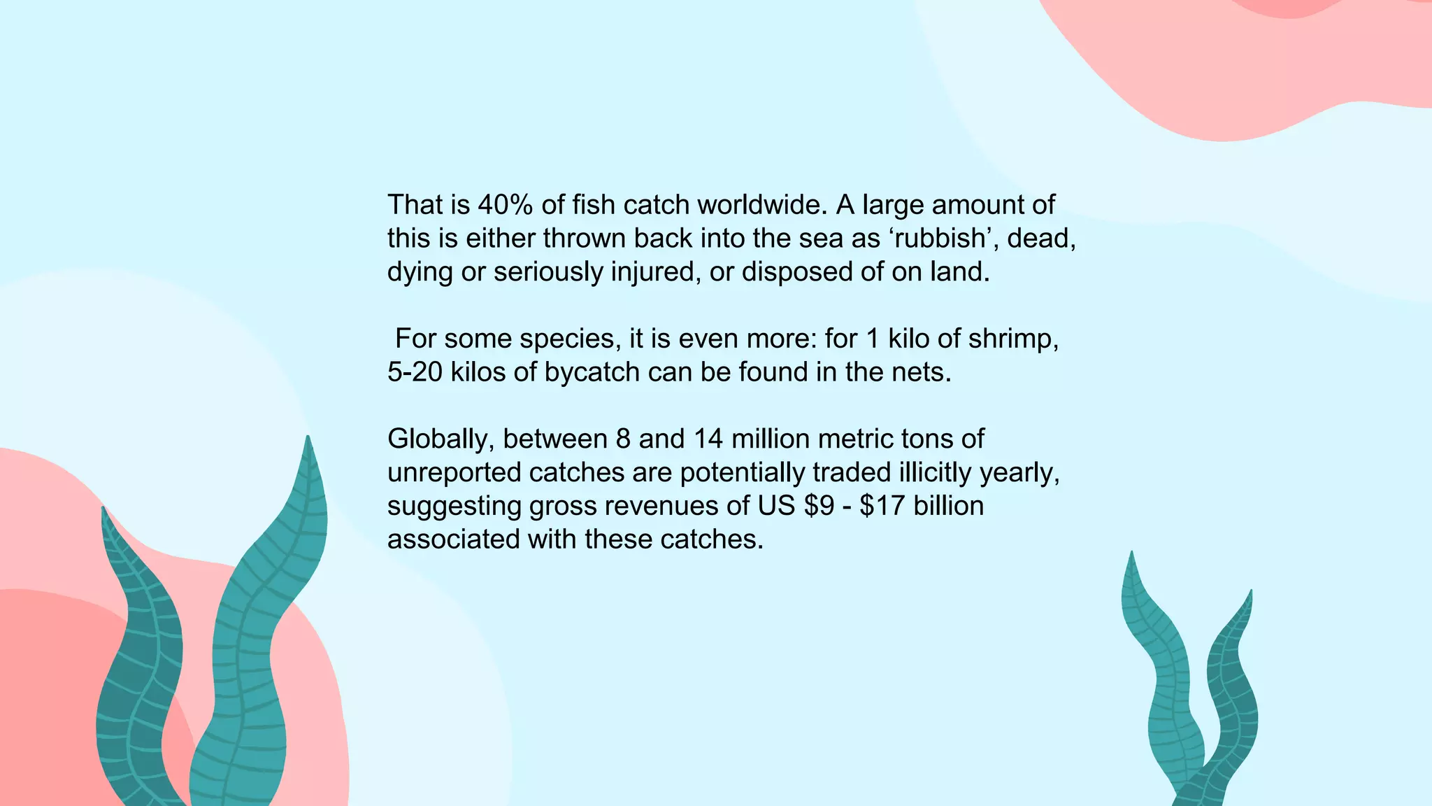 That is 40% of fish catch worldwide. A large amount of
this is either thrown back into the sea as ‘rubbish’, dead,
dying or seriously injured, or disposed of on land.
For some species, it is even more: for 1 kilo of shrimp,
5-20 kilos of bycatch can be found in the nets.
Globally, between 8 and 14 million metric tons of
unreported catches are potentially traded illicitly yearly,
suggesting gross revenues of US $9 - $17 billion
associated with these catches.
 