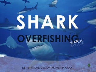 SHARK
OVERFISHING

S.B - IUT MICHEL DE MONTAIGNE – 2A GIDO
                                          S
 