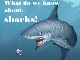 What do we know
about:
sharks!
 