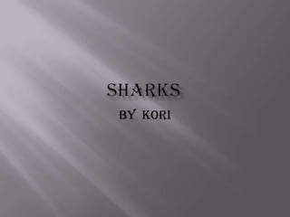 Sharks By  Kori 