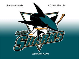 San Jose Sharks A Day In The Life 