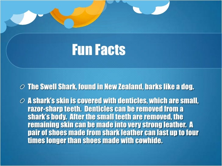 What are some amazing facts about sharks?