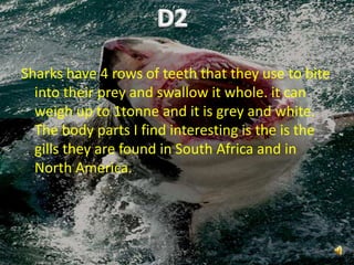 Sharks have 4 rows of teeth that they use to bite into their prey and swallow it whole. it can weigh up to 1tonne and it is grey and white. The body parts I find interesting is the is the gills they are found in South Africa and in North America.   D2